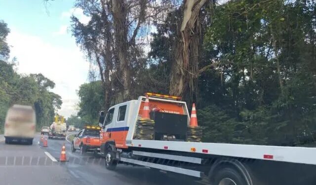 Motorista sobrevive após carro despencar de barranco de 15 metros na ERS-122, em Flores da Cunha
