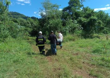 Identificados os mortos do trágico acidente de trânsito em Imigrante