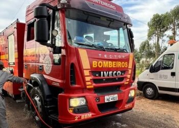 Ação contra gripe aviária atinge 12 municípios