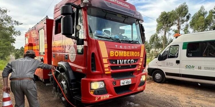 Ação contra gripe aviária atinge 12 municípios