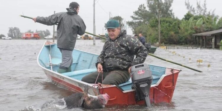 Gaúchos precisaram ser resgatados de barco devido aos alagamentos que afetaram o litoral do Estado