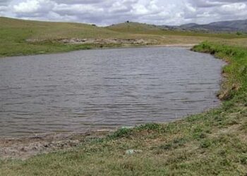 Menino de quatro anos morre afogado em açude