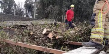 Municípios gaúchos registram queda de granizo e destelhamentos; Defesa Civil alerta para temporais até este domingo em todo o Estado