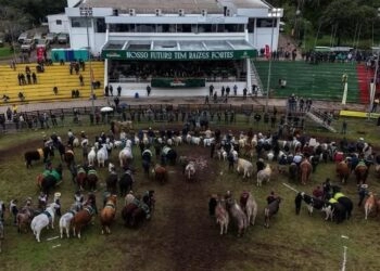 48ª Expointer se encerra com público recorde, mas queda de 45,5% nas vendas