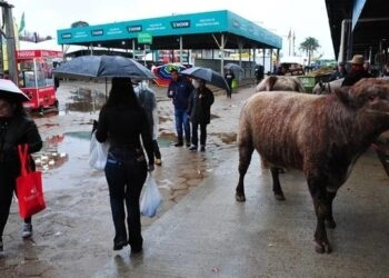 União anunciará socorro de R$ 10 bilhões aos produtores gaúchos na abertura da Expointer