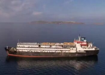 Navio com quase 3 mil vacas vaga há meses em condições precárias e tenta retornar ao Uruguai