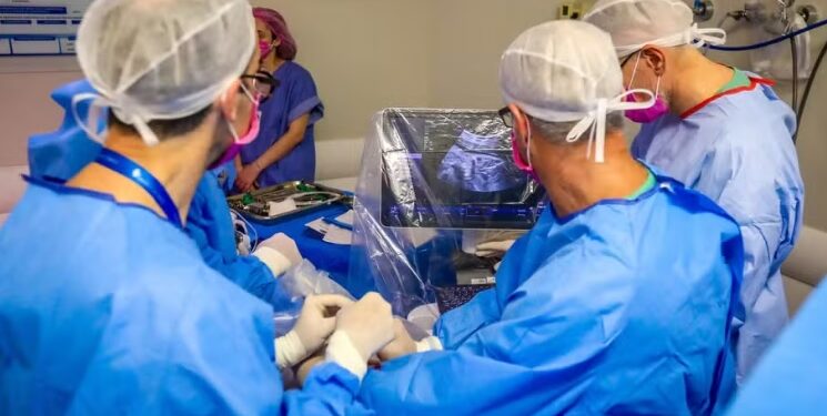 Médicos operam coração de feto com 29 semanas dentro da barriga da mãe em hospital do RS