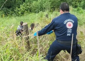 Trabalhador morre picado por inseto enquanto instalava internet em SC