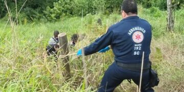 Trabalhador morre picado por inseto enquanto instalava internet em SC