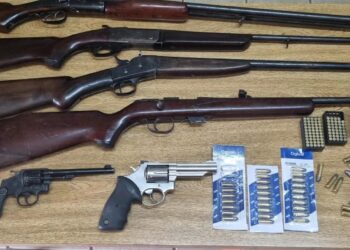 Denúncia anônima leva à apreensão de armas e prisão em Nova Roma do Sul