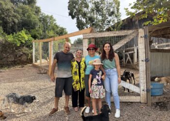Com apoio da vereadora Vanessa, Baixinha busca modelo de sucesso para transformar a proteção animal em Nova Roma do Sul