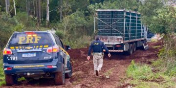 PRF apreende caminhão com quase uma tonelada de maconha e pistola em Passo Fundo