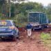 PRF apreende caminhão com quase uma tonelada de maconha e pistola em Passo Fundo