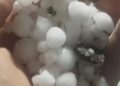 GRANIZO PROVOCA PREJUÍZOS EM POMARES DE CAMPESTRE DA SERRA, IPÊ, ANTÔNIO PRADO E ANDRÉ DA ROCHA
