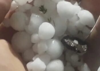 GRANIZO PROVOCA PREJUÍZOS EM POMARES DE CAMPESTRE DA SERRA, IPÊ, ANTÔNIO PRADO E ANDRÉ DA ROCHA