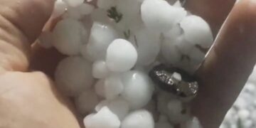 GRANIZO PROVOCA PREJUÍZOS EM POMARES DE CAMPESTRE DA SERRA, IPÊ, ANTÔNIO PRADO E ANDRÉ DA ROCHA