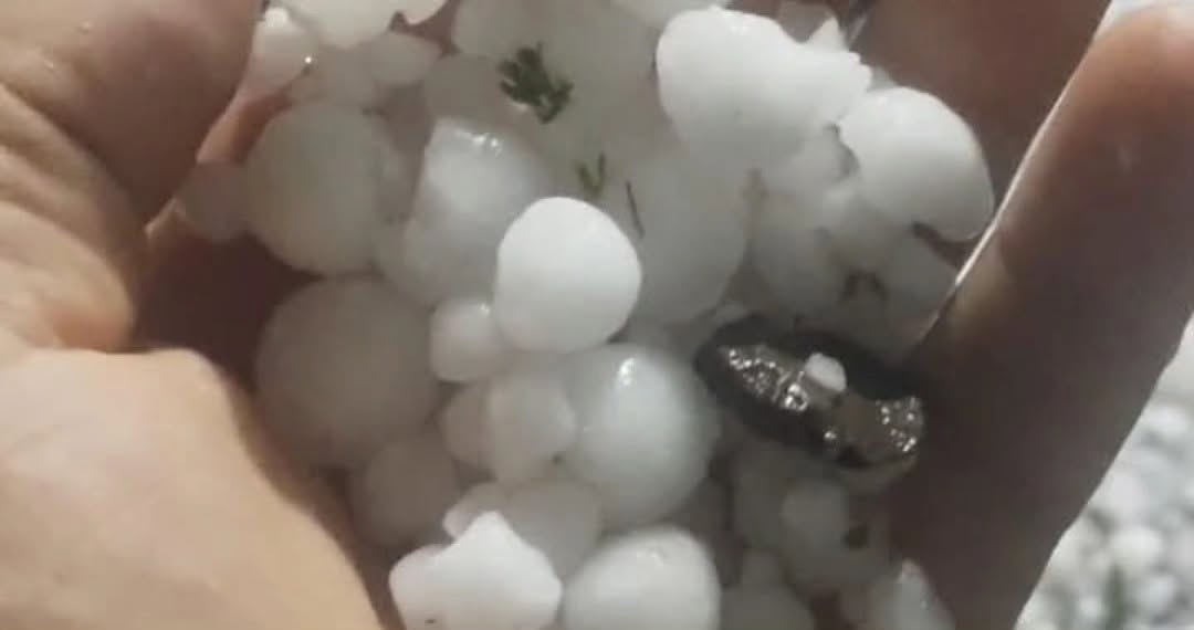 GRANIZO PROVOCA PREJUÍZOS EM POMARES DE CAMPESTRE DA SERRA, IPÊ, ANTÔNIO PRADO E ANDRÉ DA ROCHA